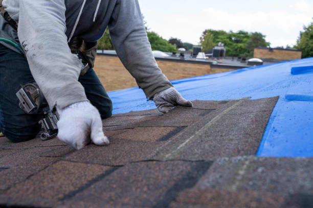 Best Roof Maintenance Services  in Oakwood, OH