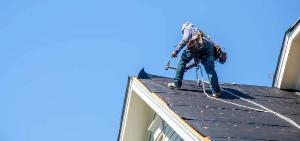 Best Roof Gutter Cleaning  in Oakwood, OH